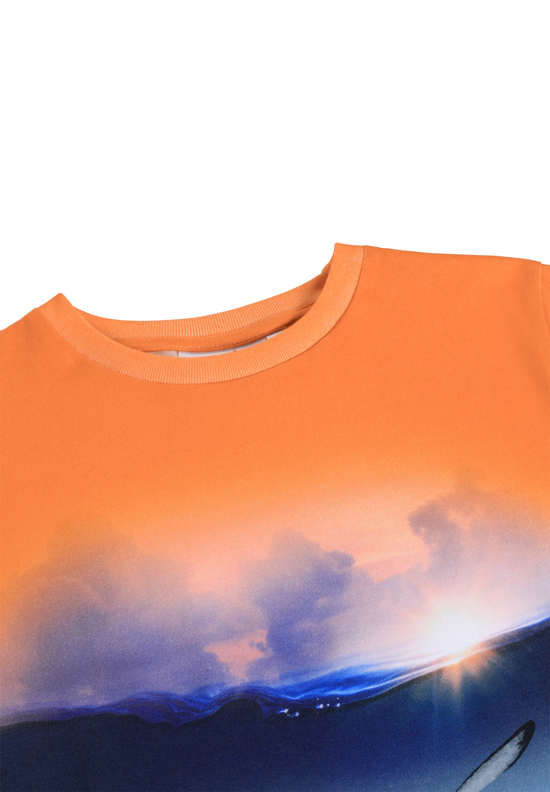 Molo Raul T-Shirt - Into The Sunset