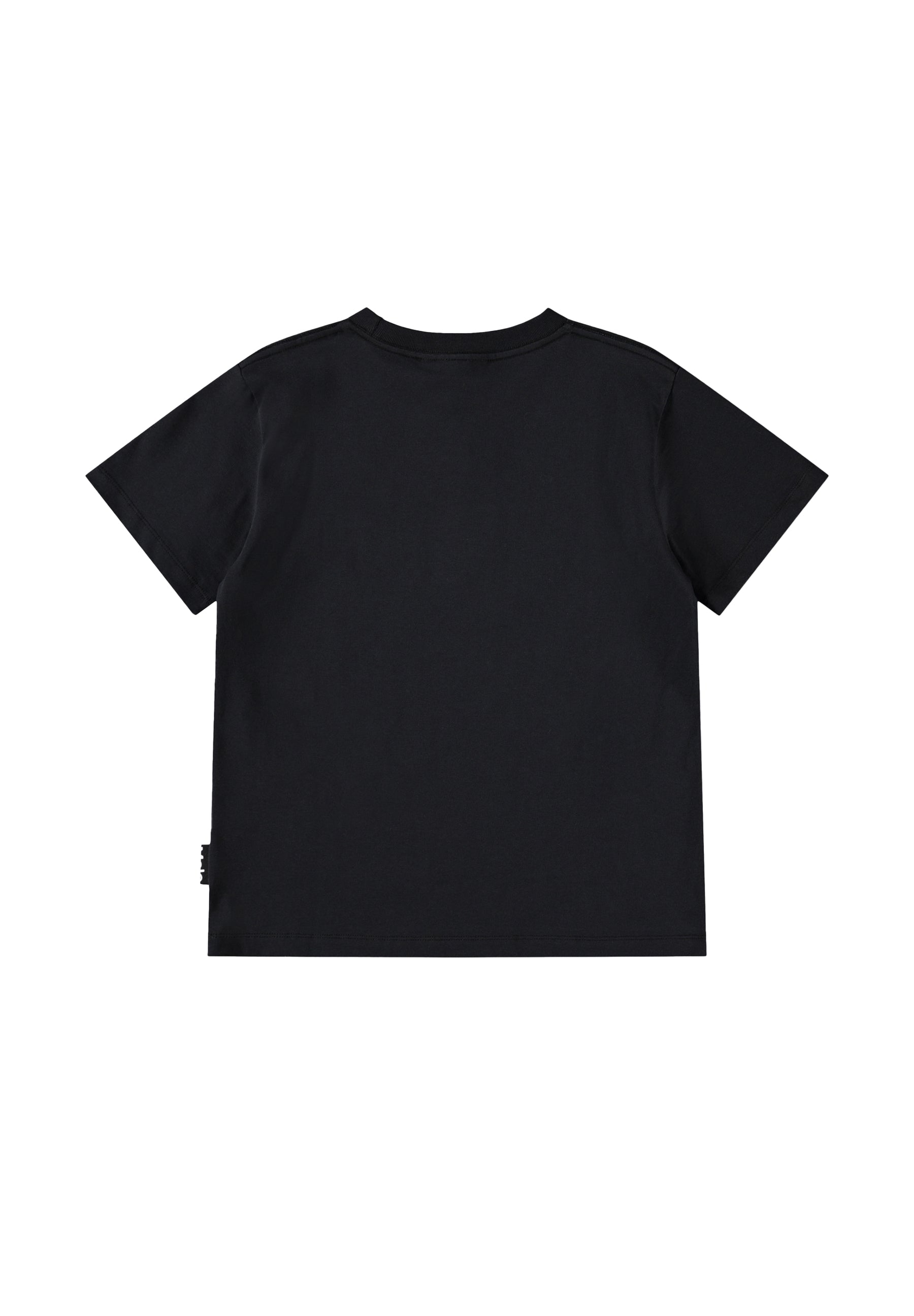 Molo Riley Short Sleeve Tee - Bass Guitars