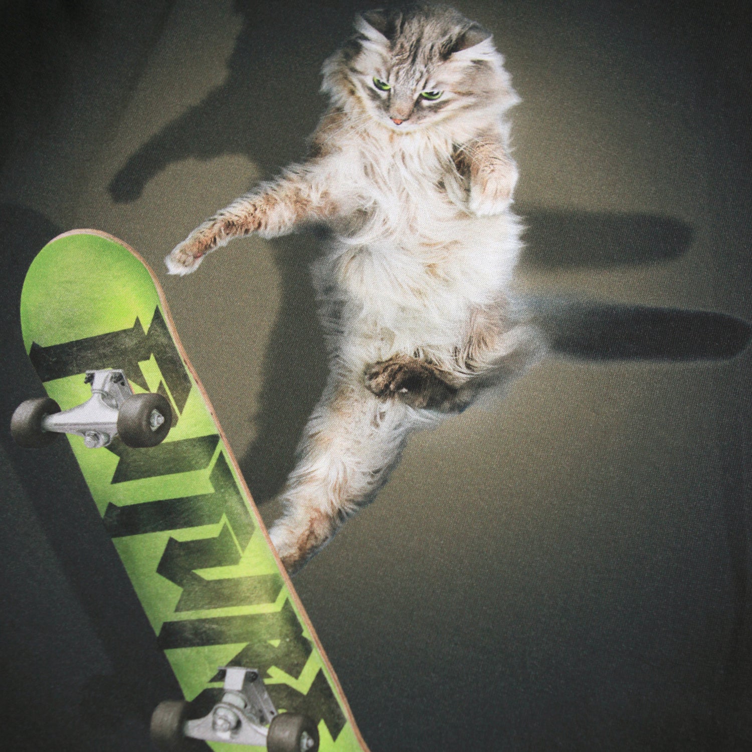 Molo Rube Long Sleeve T-Shirt - Skate Cat