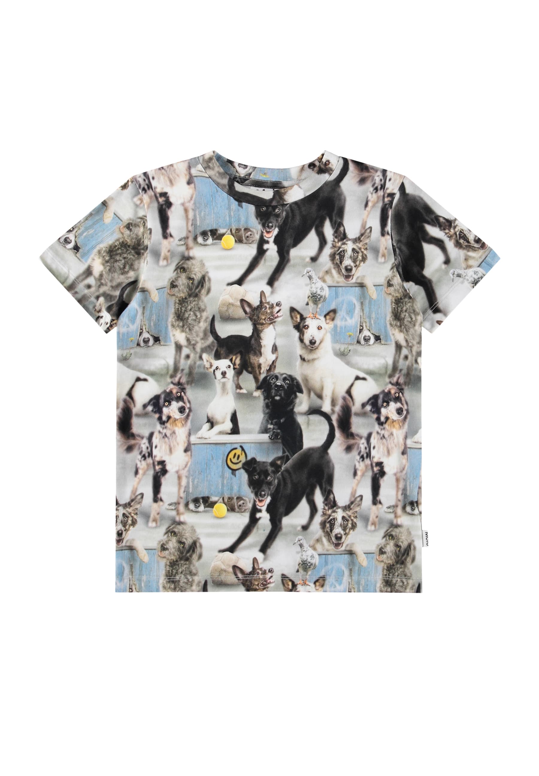 Molo Ralphie Short Sleeves T-shirt - Curious Dogs
