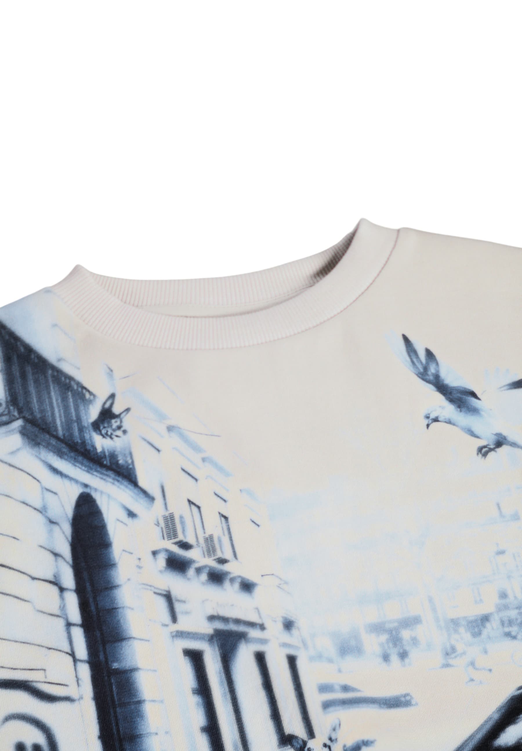 Molo Mattis Sweatshirt - Curio City