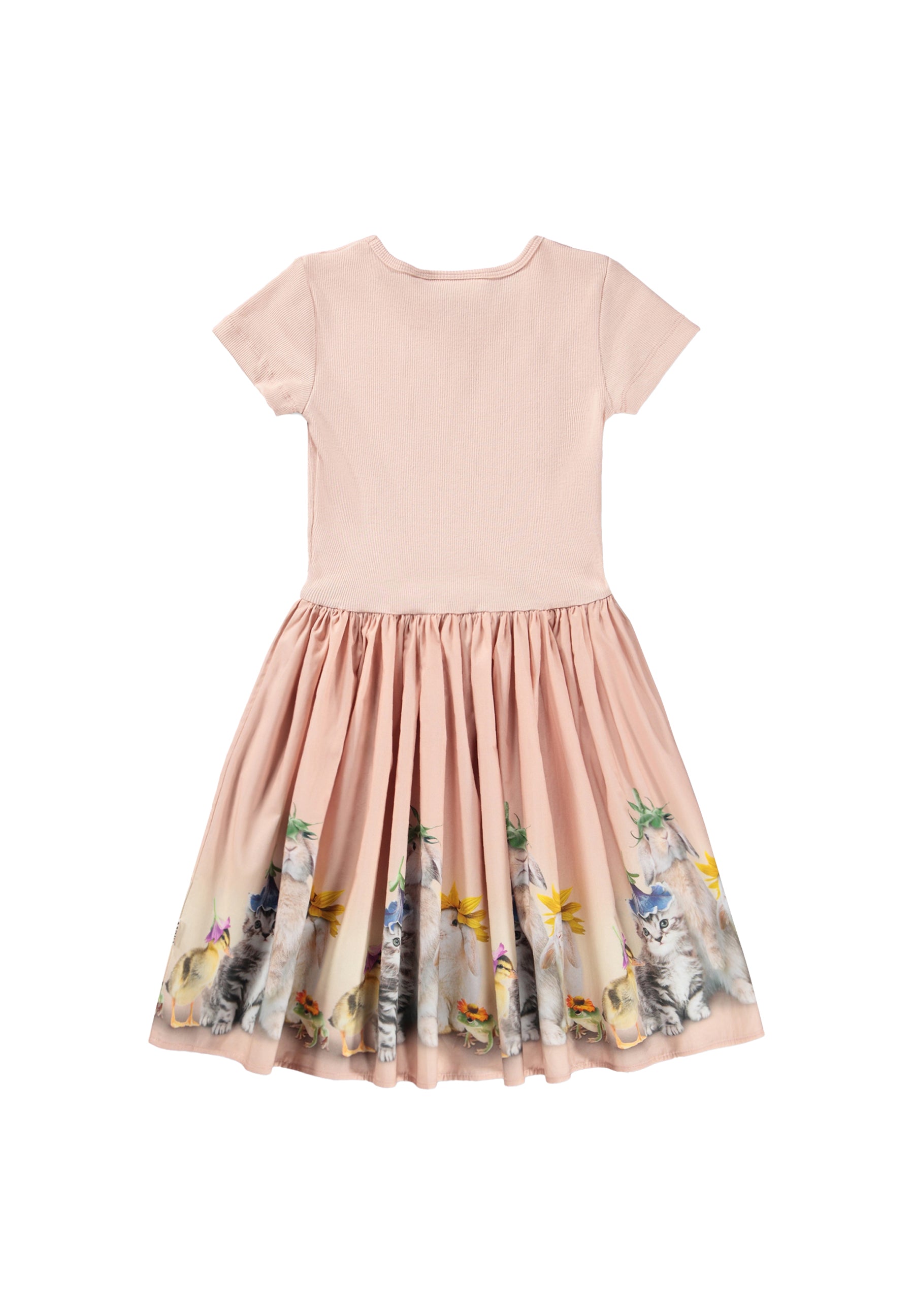 Molo Cissa Dress - Photobooth