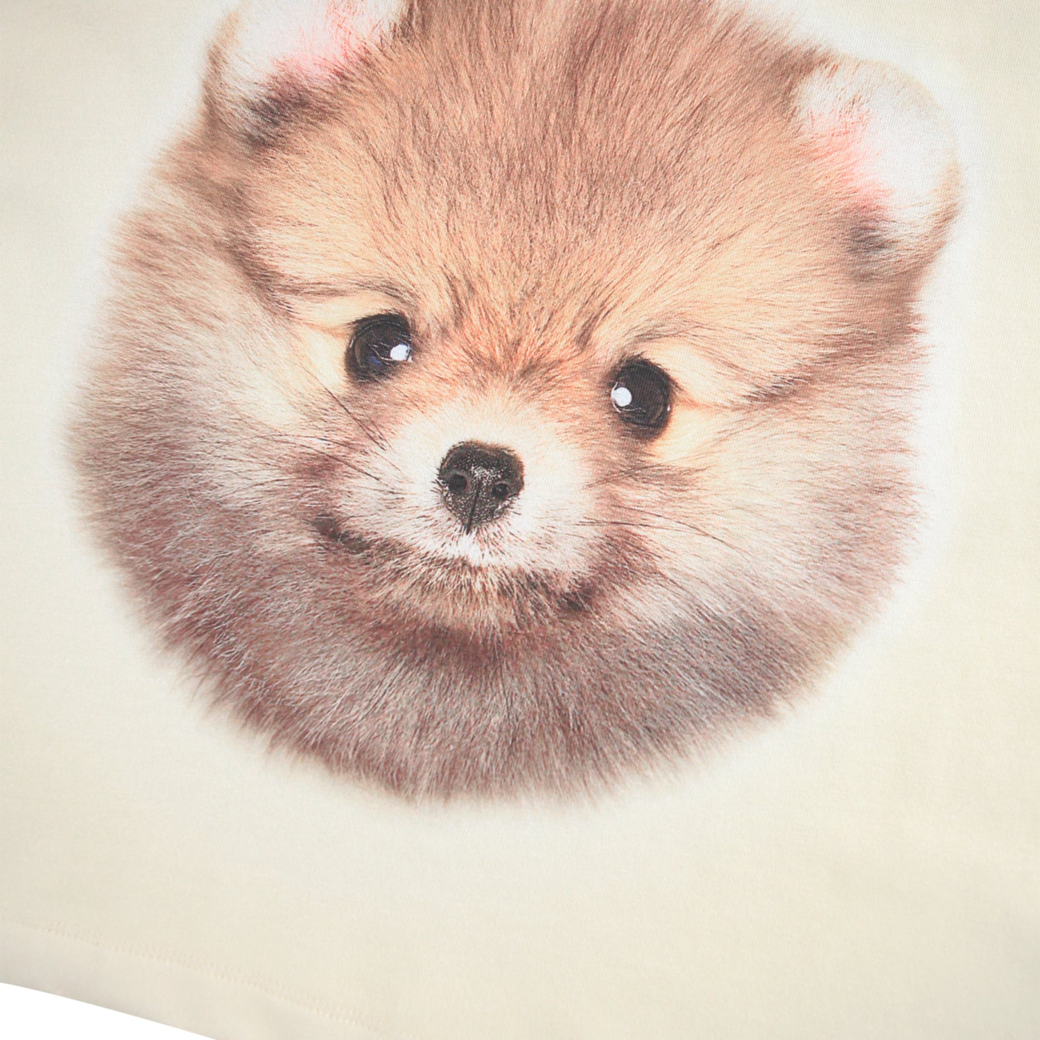 Molo Reniza Long Sleeve T-shirt - POM POmeranian