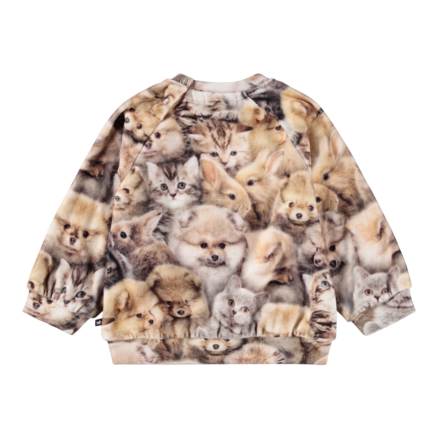 Molo Disc Sweatshirt - Fuzzy Fluffy