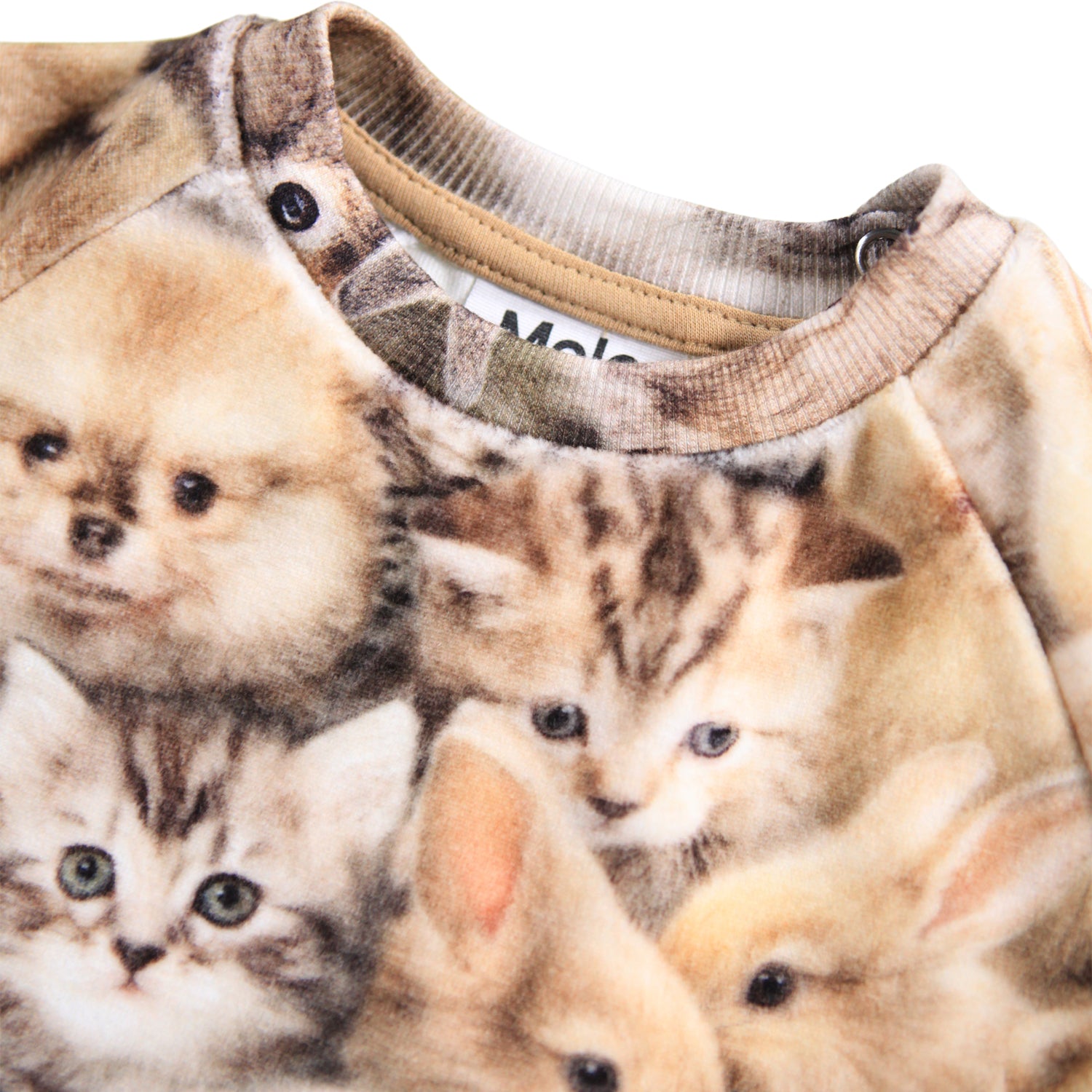 Molo Disc Sweatshirt - Fuzzy Fluffy