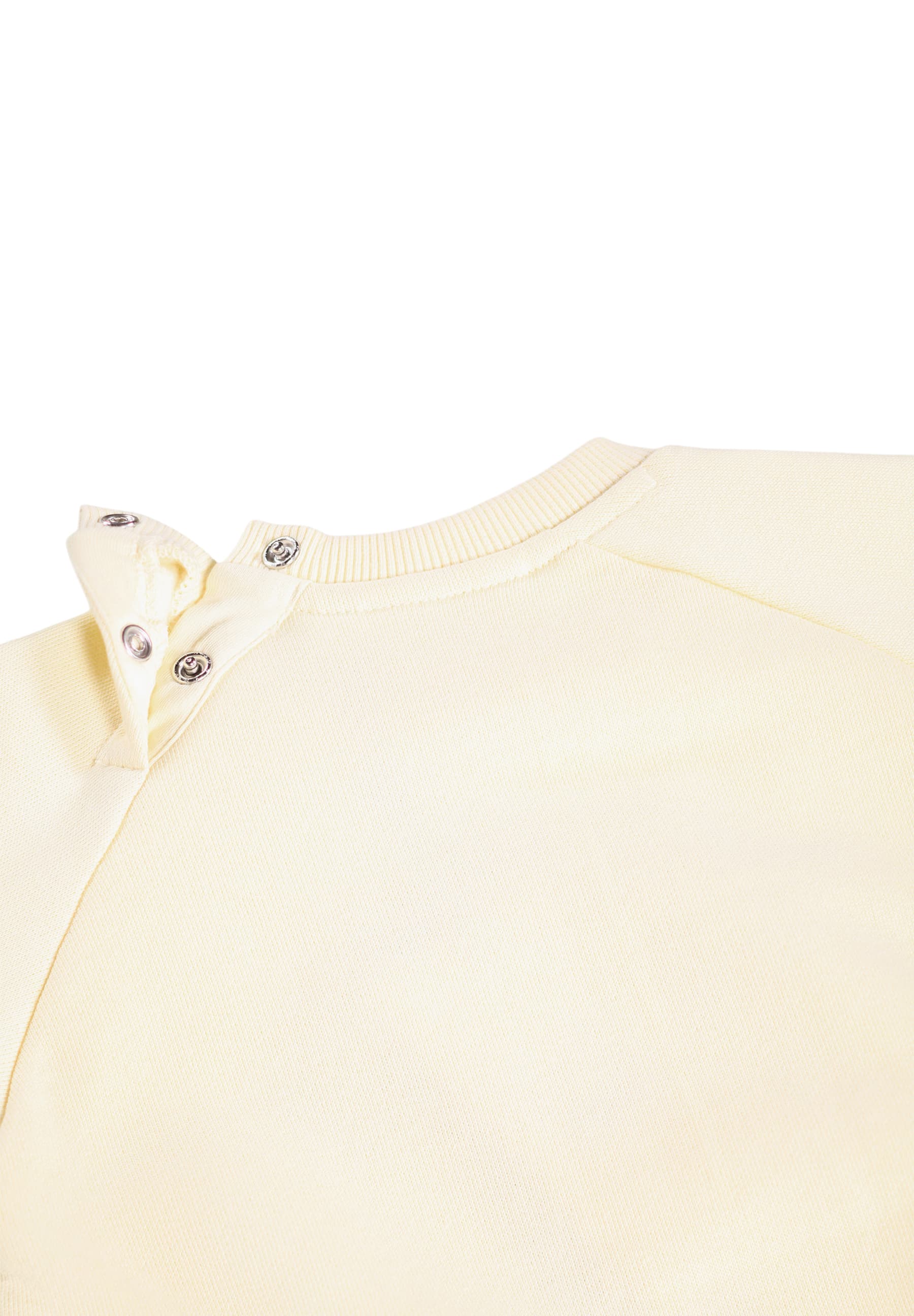 Molo Disc Sweatshirt - Game Pup