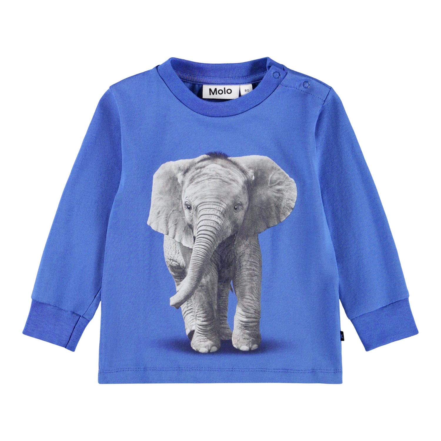 Molo Eloy Baby T-Shirt - Baby Elephant