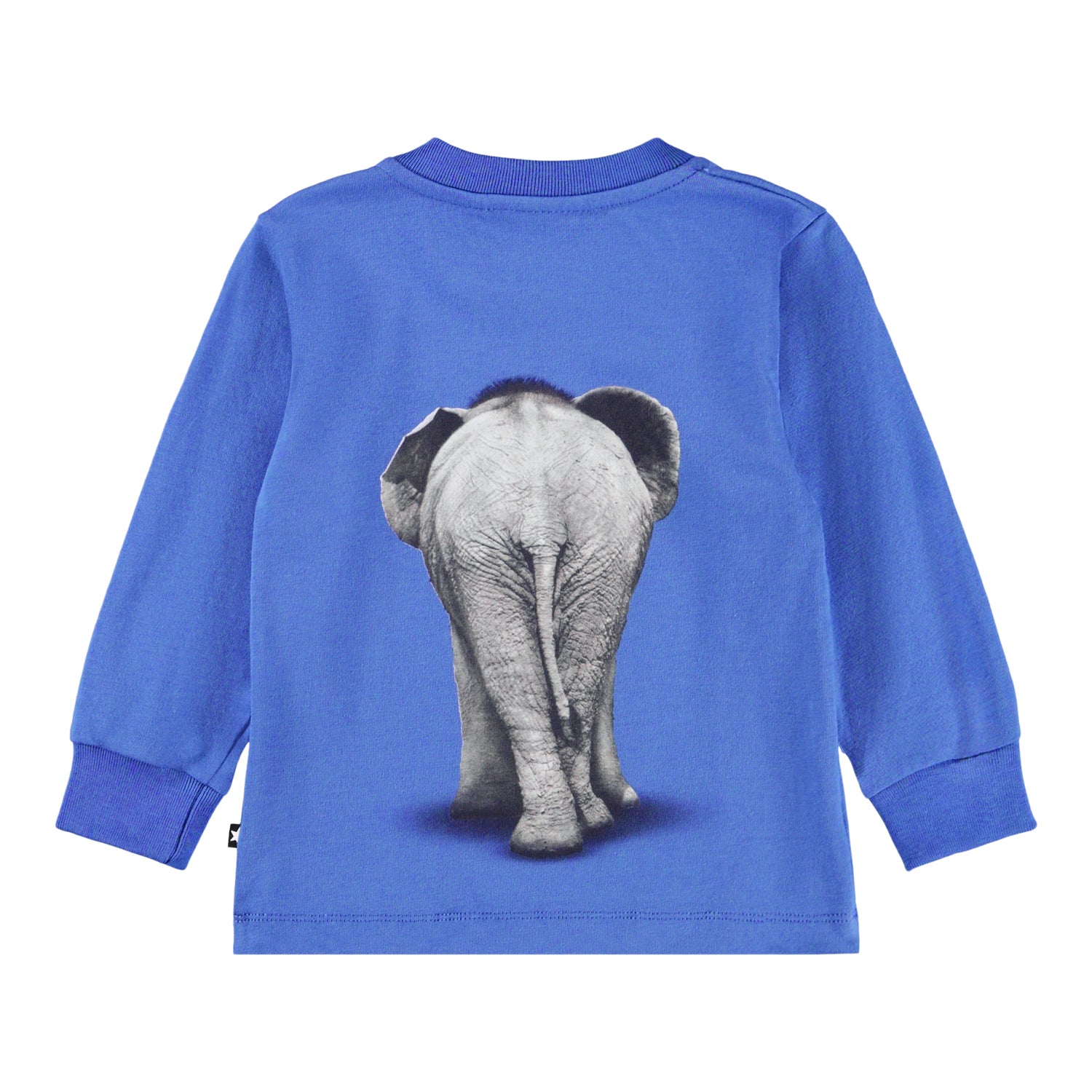 Molo Eloy Baby T-Shirt - Baby Elephant