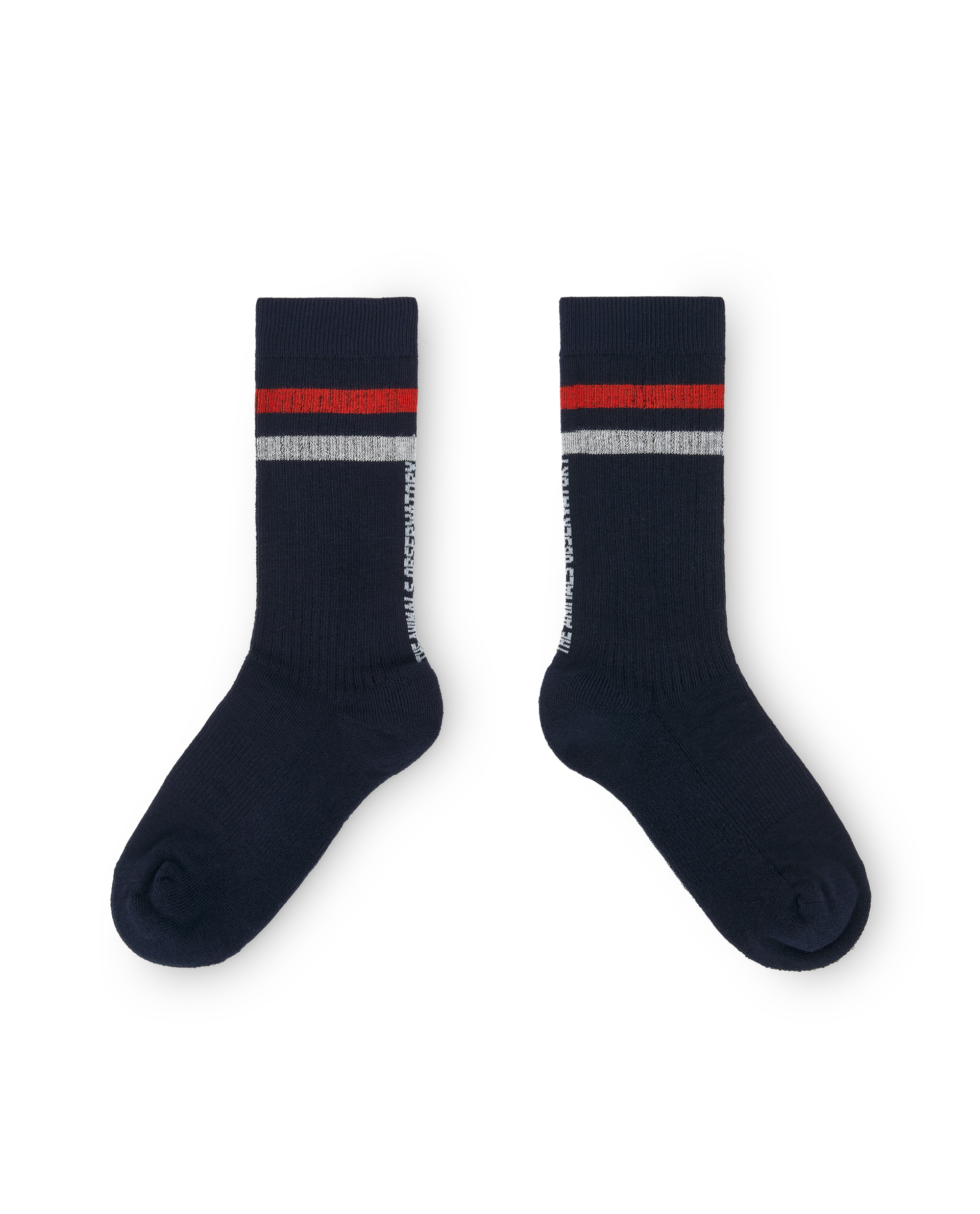 The Animals Observatory Skunk Kid Socks - 064