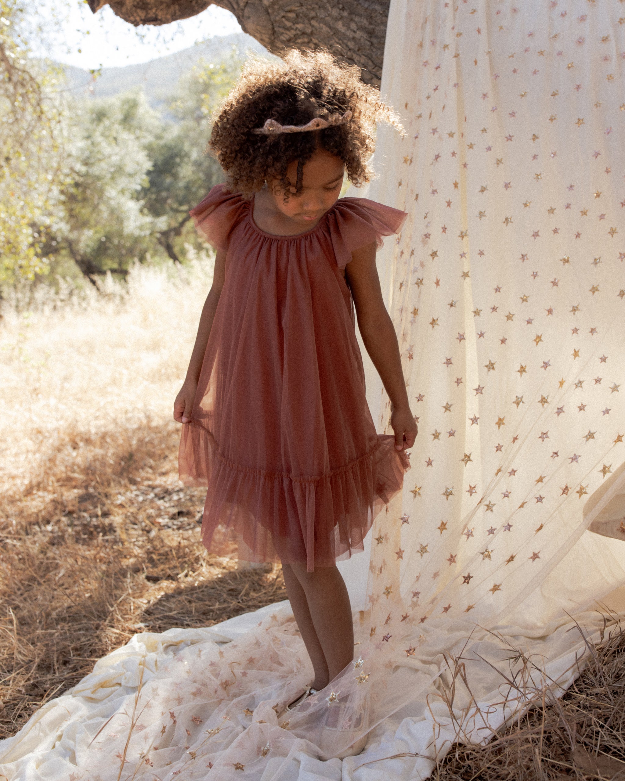 Noralee Edie Dress - Spice
