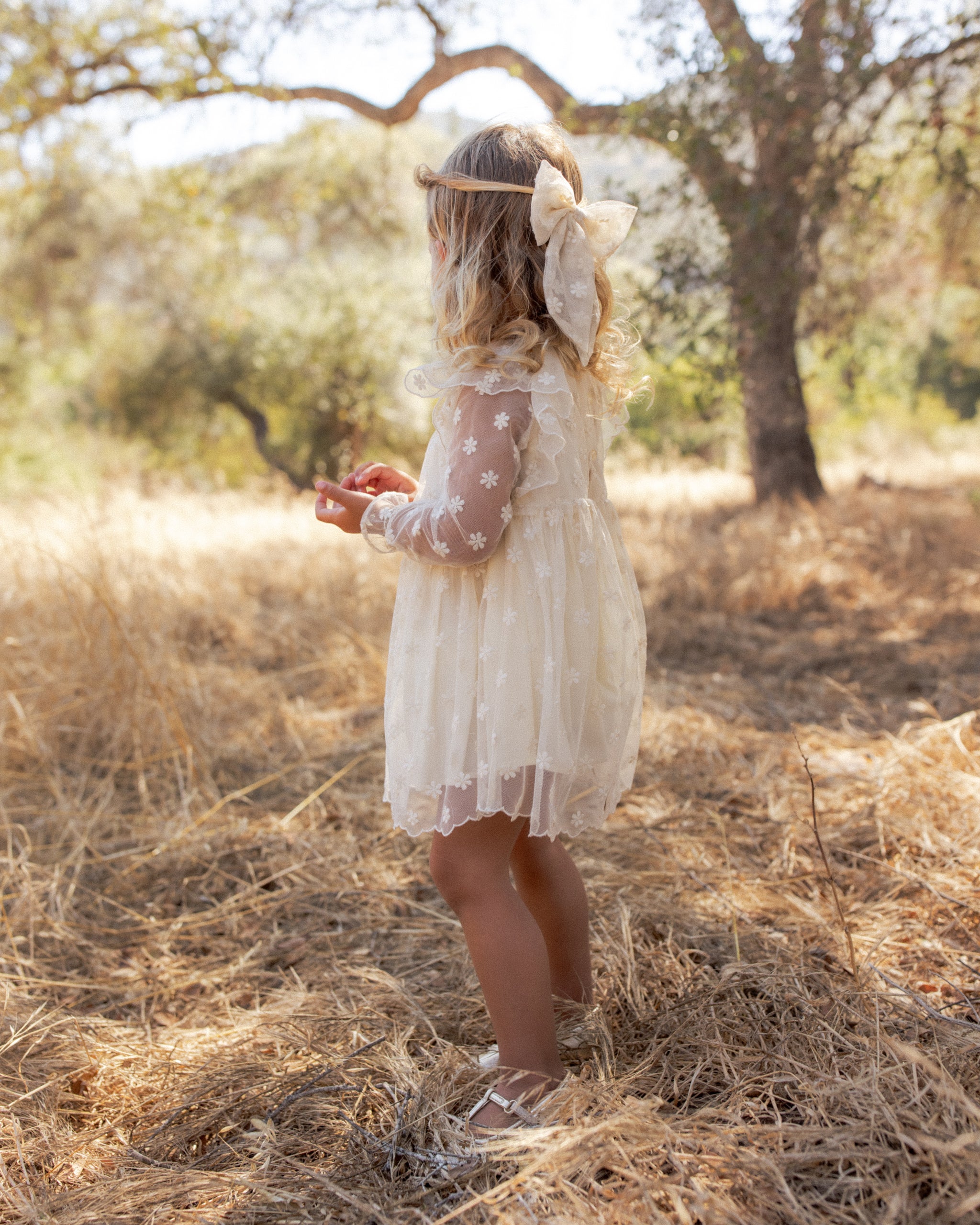 Noralee Celine Dress - Embroidered Daisy
