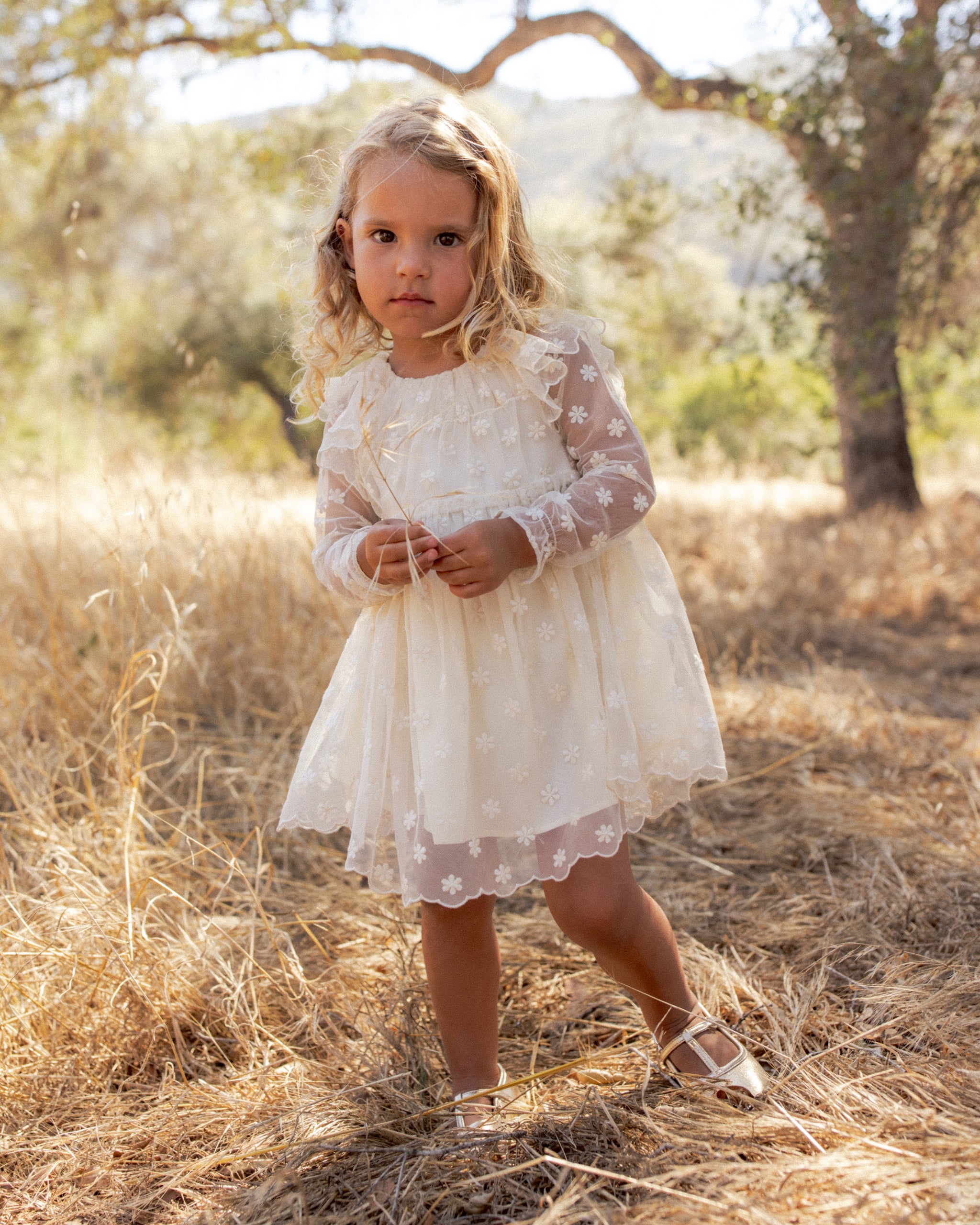 Noralee Celine Dress - Embroidered Daisy