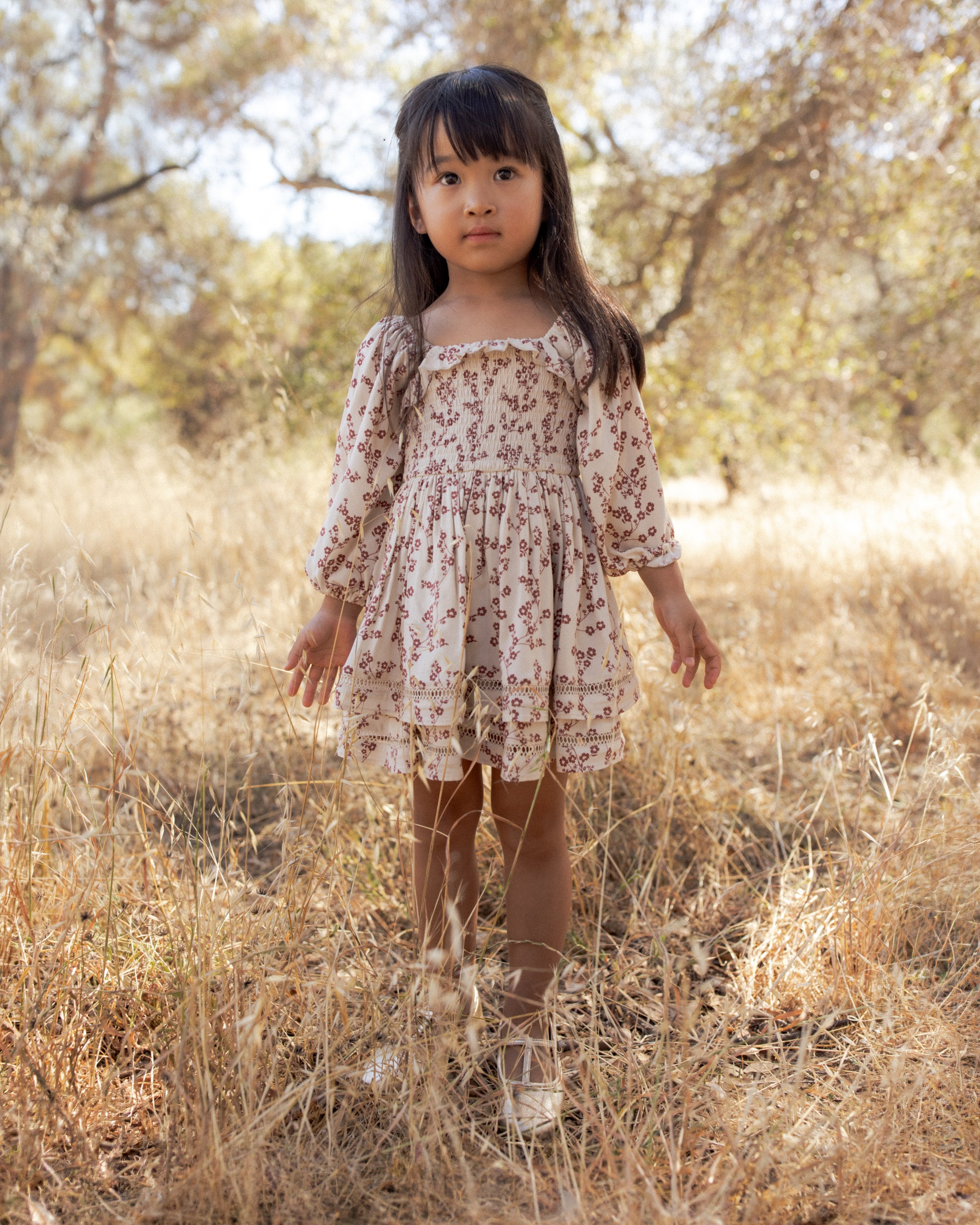 Noralee Elodie Dress - Floral Toile