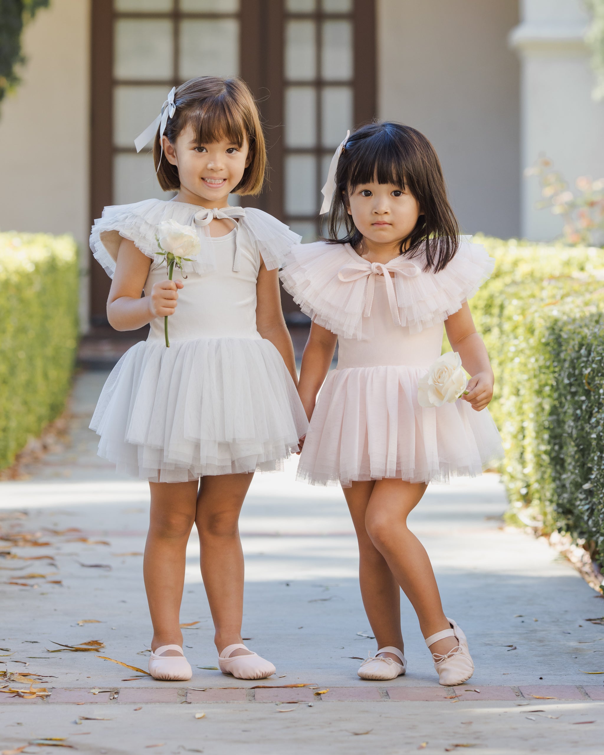 Noralee Ruffle Tulle Collar - Mist