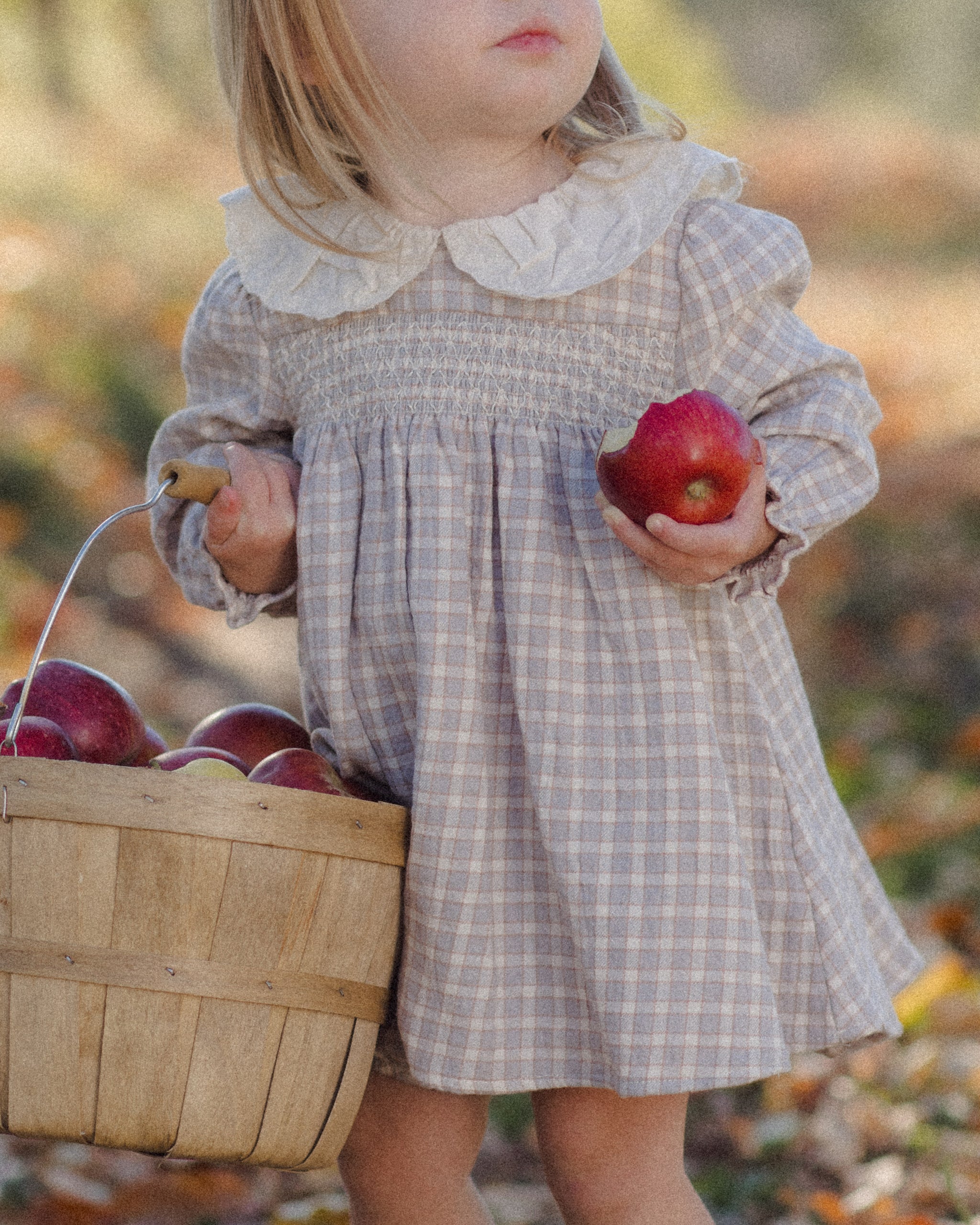 Quincy Mae Callie Dress - Blue Gingham
