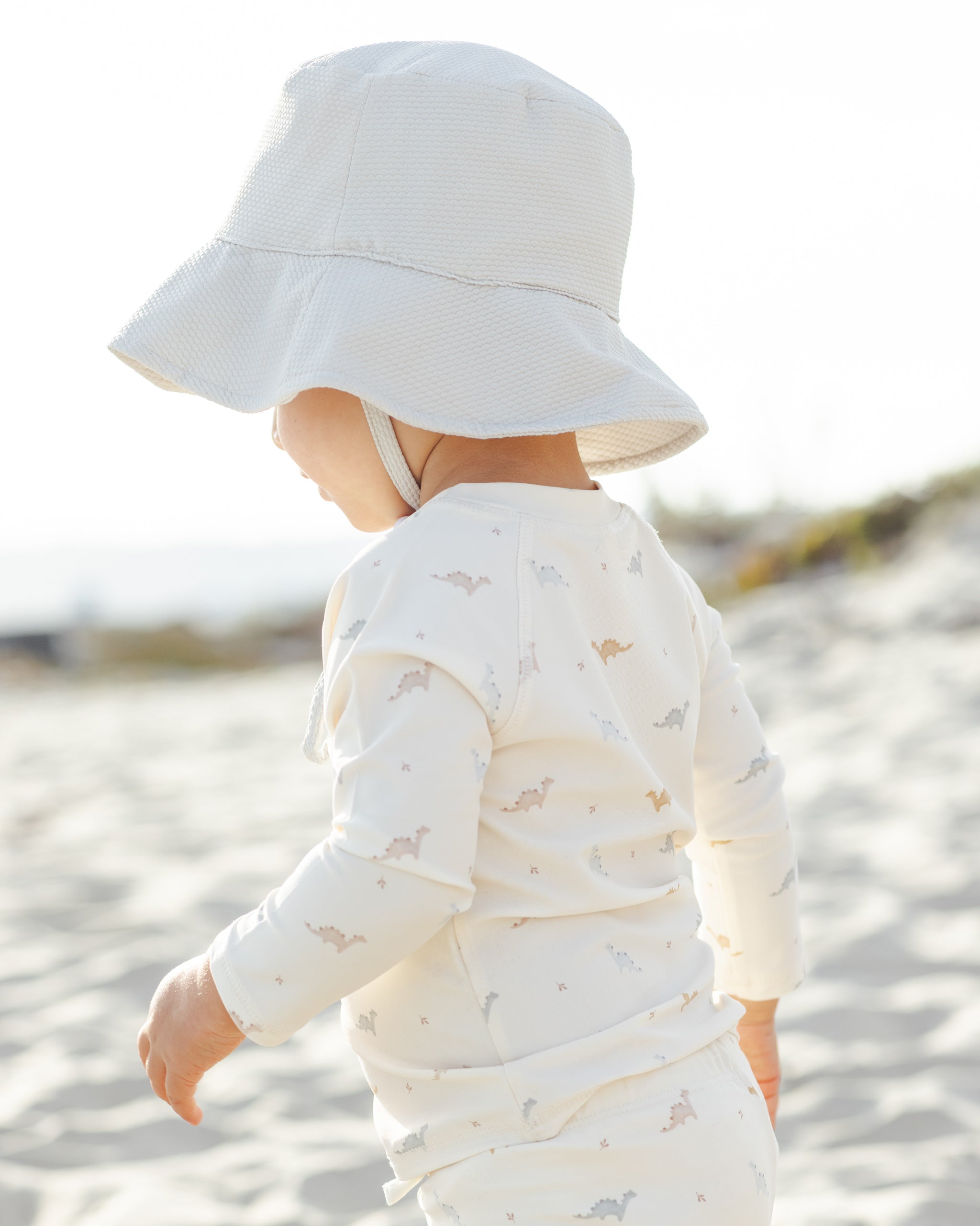 Quincy Mae Finn Rashguard + Short Set - Dino