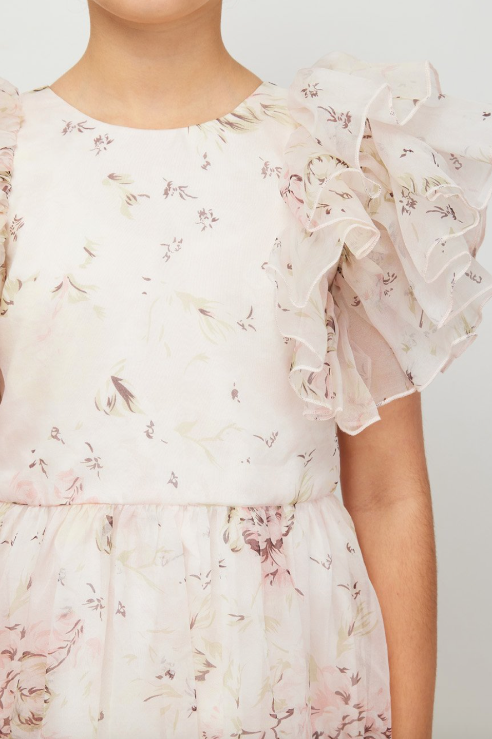 Petite Amalie Organza Dress - Rose Print