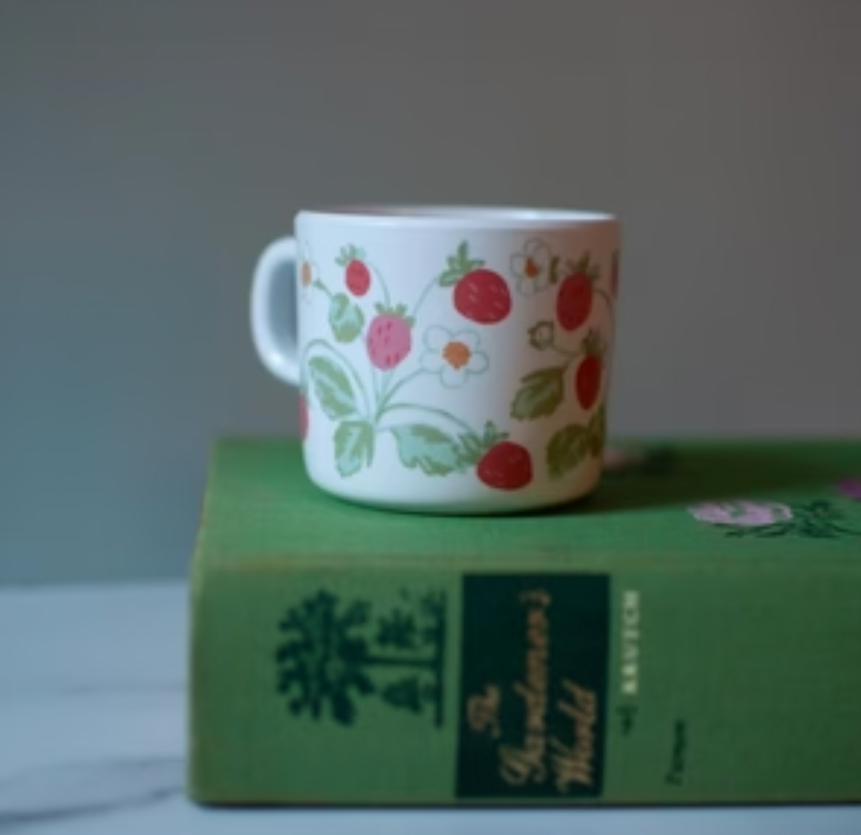 Helmsie Strawberry Sippy Cup