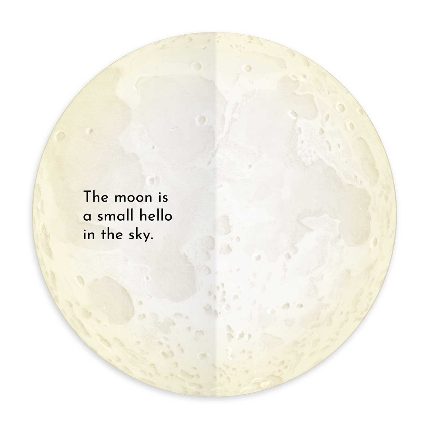 Our Friend Moon Book