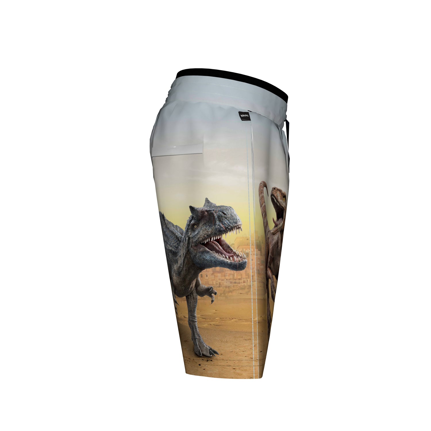 Molo Neal Swim Shorts - Dino Scenery