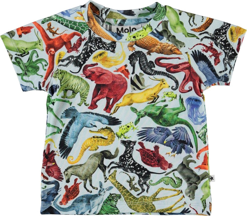 Molo Emmett T-Shirt - Colourful Animals