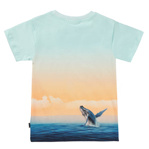 Molo Raul T-Shirt - Ocean Smile