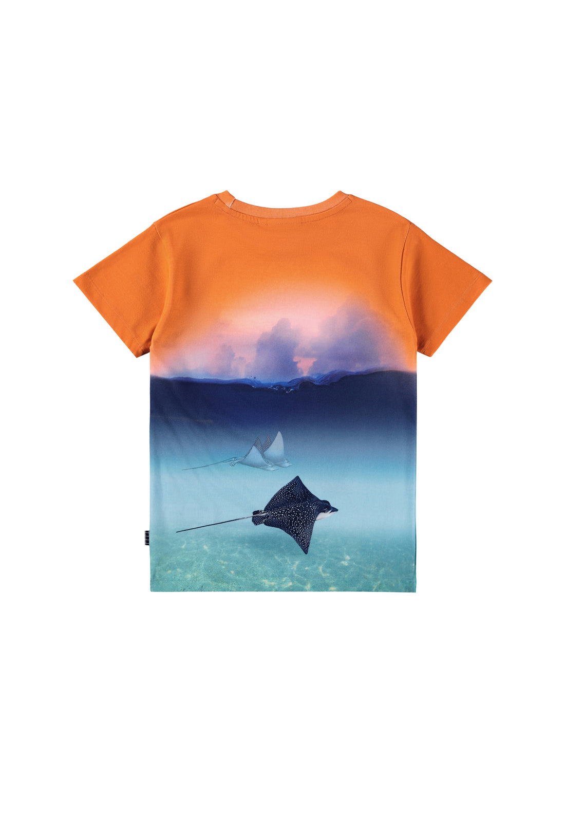 Molo Raul T-Shirt - Into The Sunset