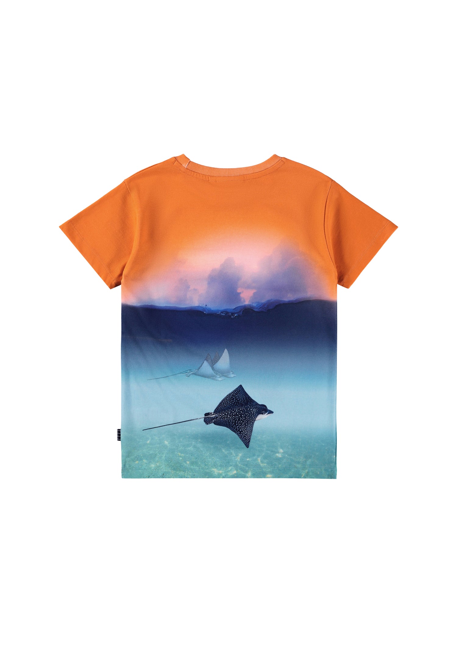 Molo Raul T-Shirt - Into The Sunset