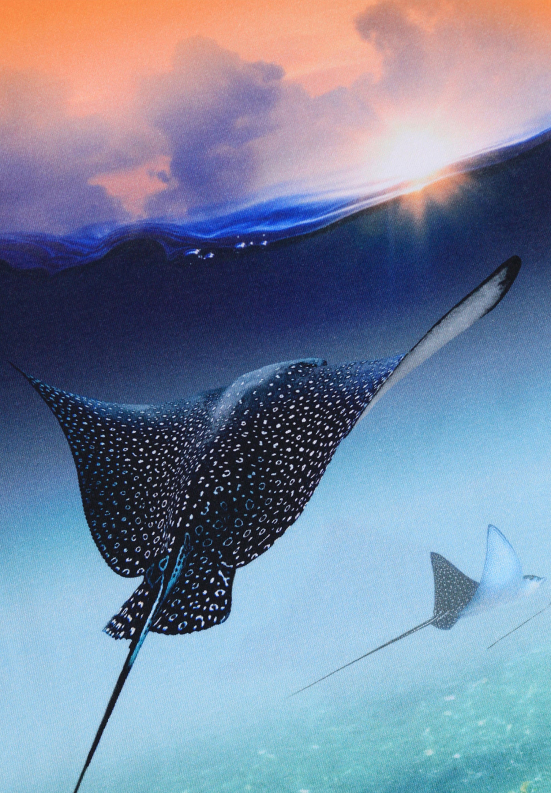 Molo Raul T-Shirt - Into The Sunset