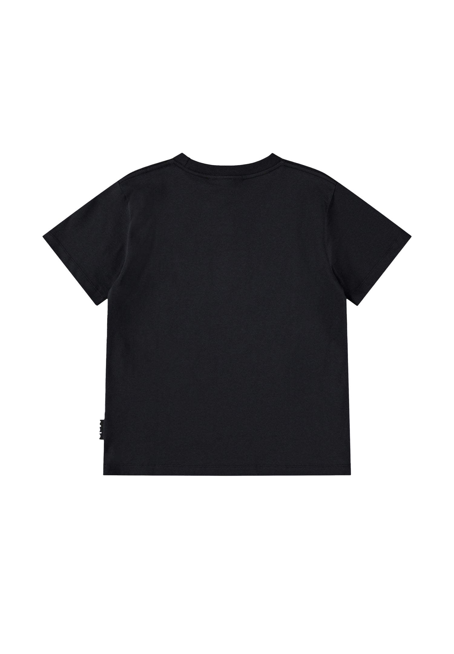 Molo Riley Short Sleeve Tee - Bass Guitars