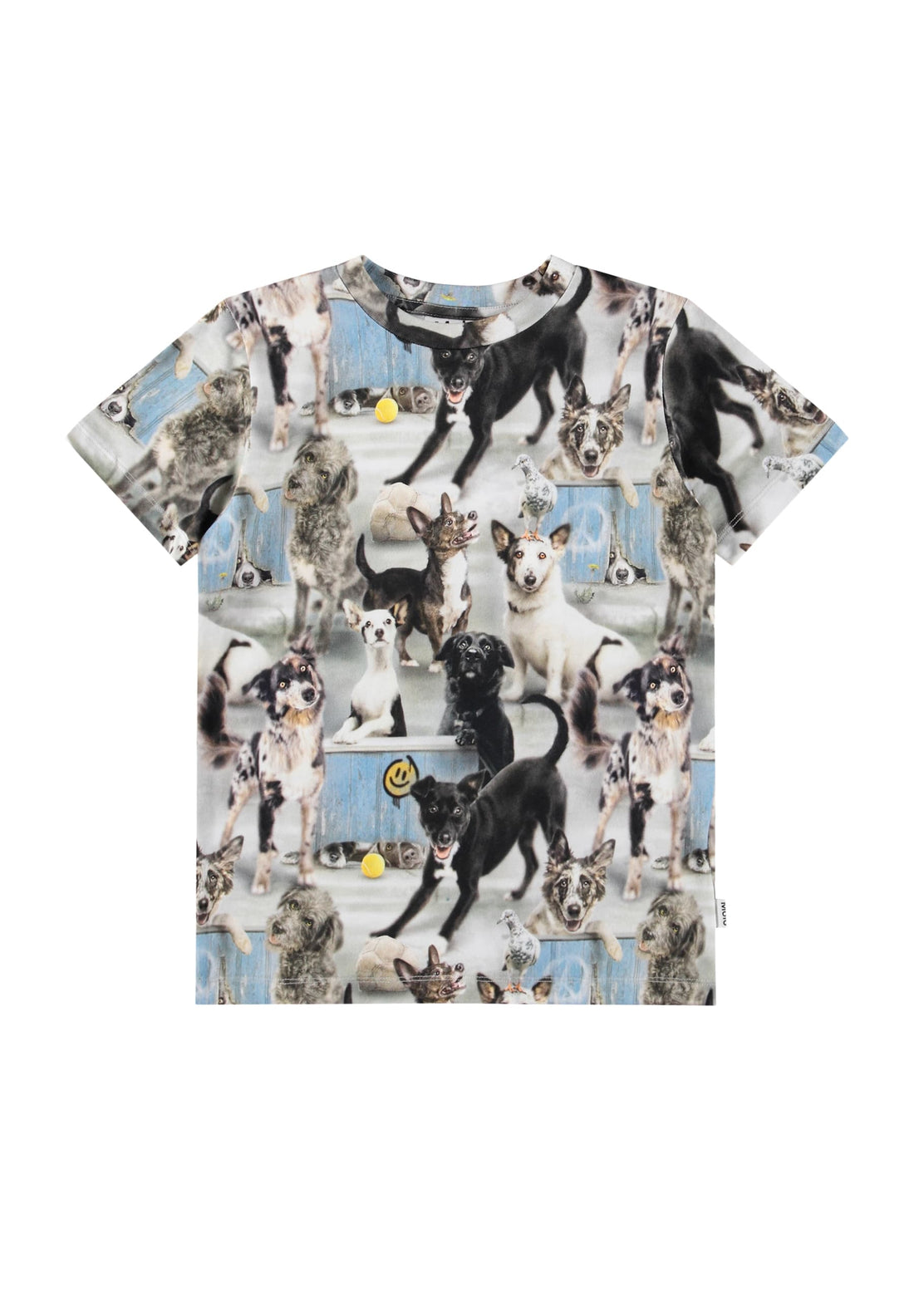 Molo Ralphie Short Sleeves T-shirt - Curious Dogs