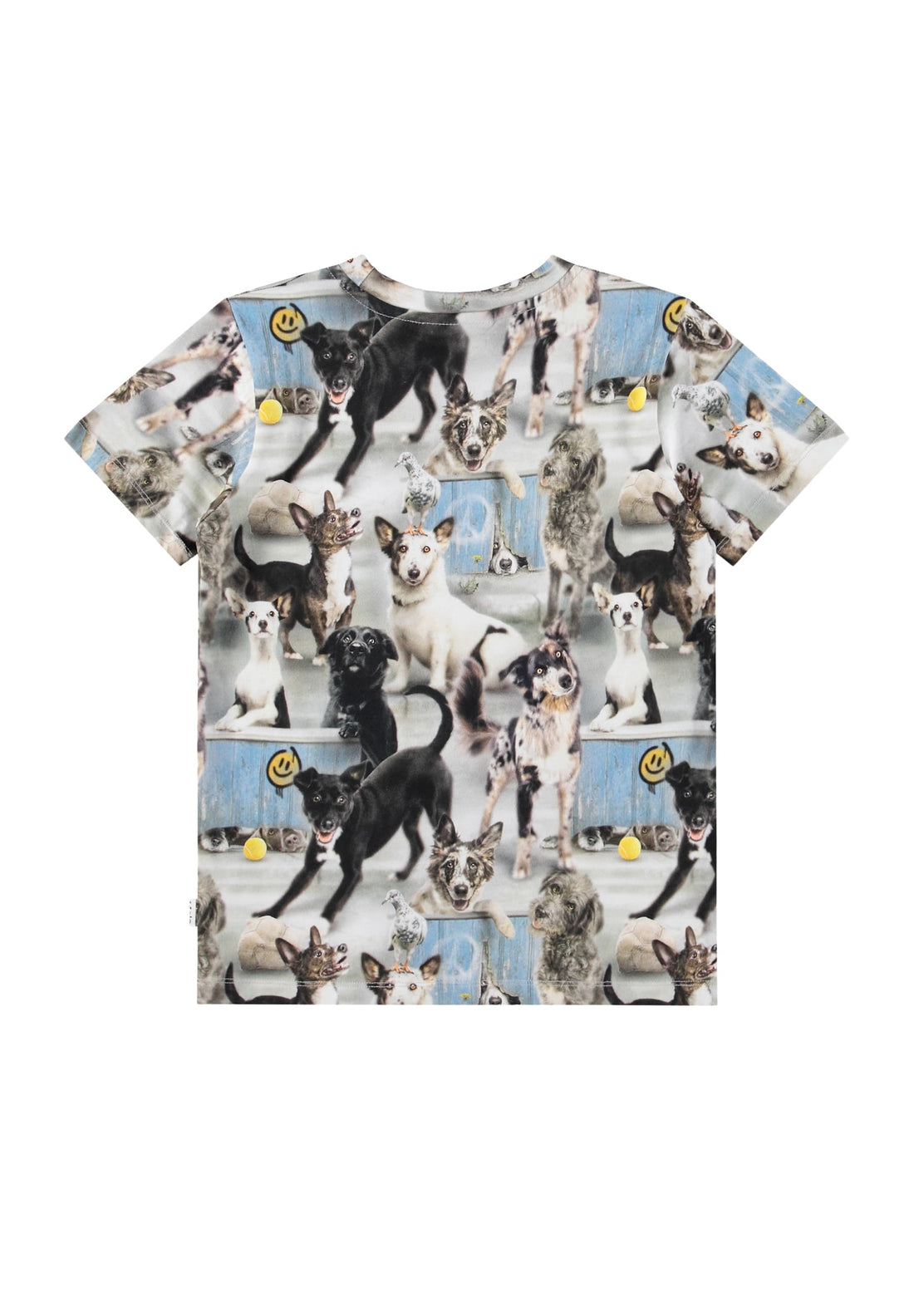Molo Ralphie Short Sleeves T-shirt - Curious Dogs