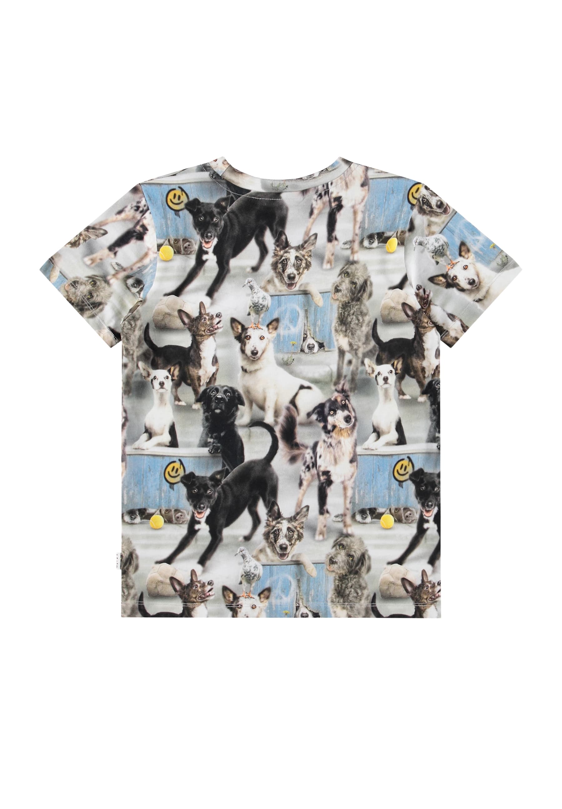 Molo Ralphie Short Sleeves T-shirt - Curious Dogs