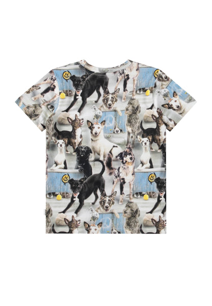 Molo Ralphie Short Sleeves T-shirt - Curious Dogs