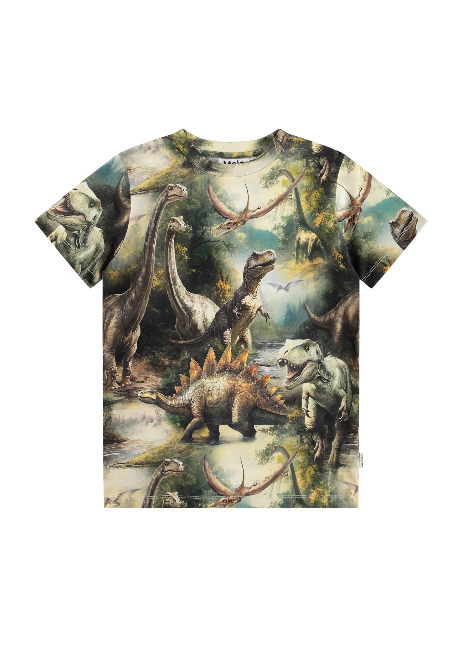 Molo Ralphie Short Sleeves T-Shirt- Dino Harmony