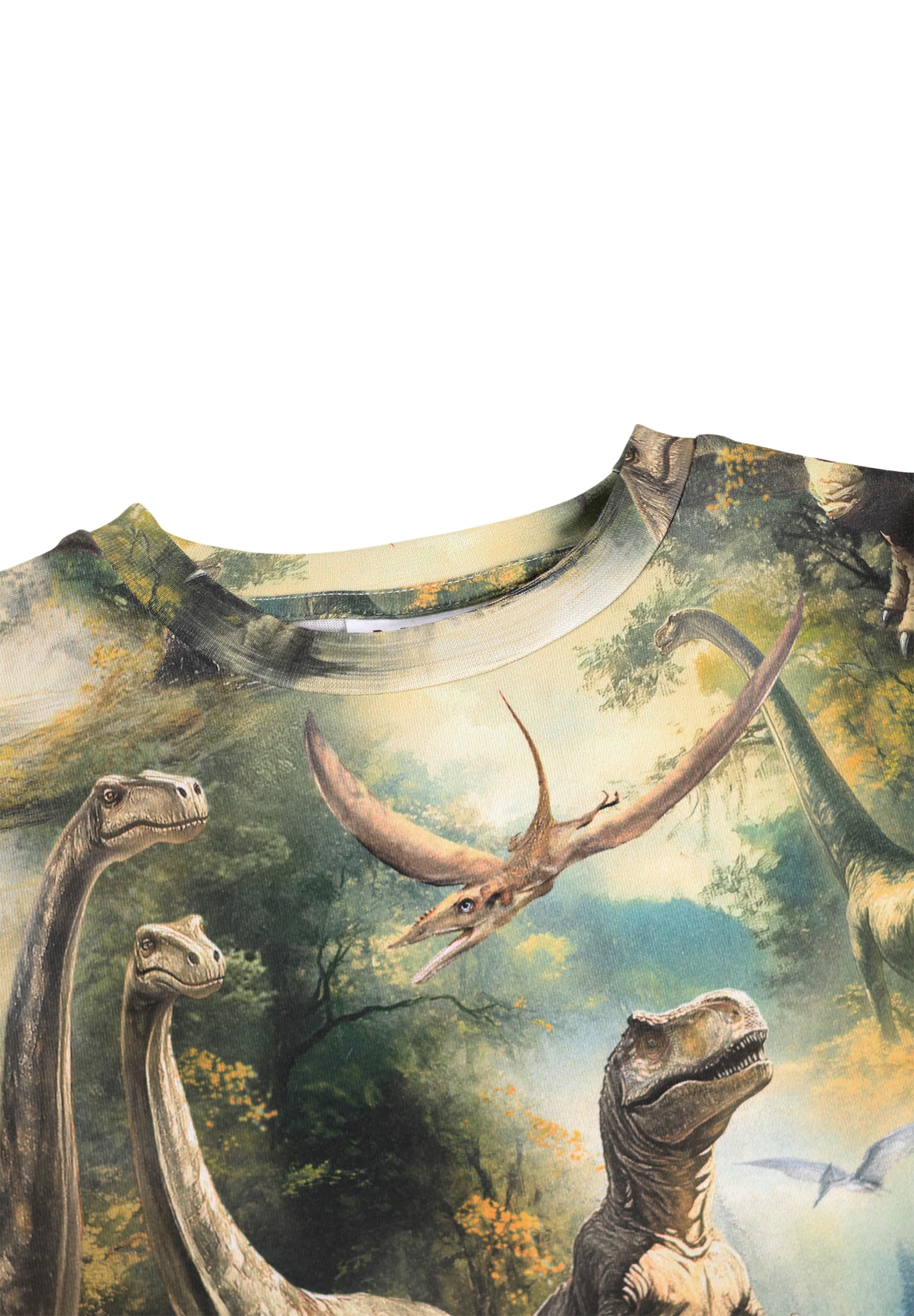 Molo Ralphie Short Sleeves T-Shirt- Dino Harmony