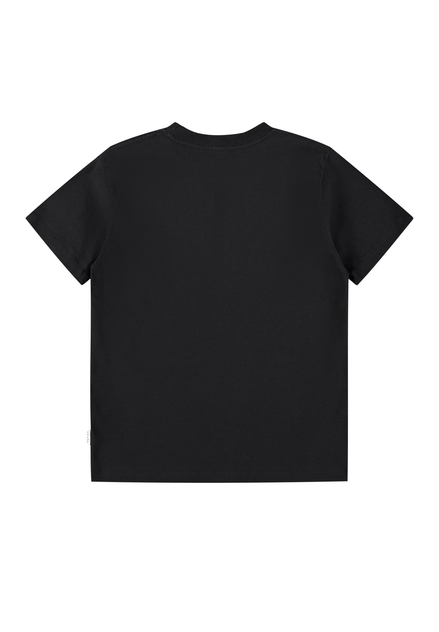 Molo Riley Short Sleeves T-shirts - United Field