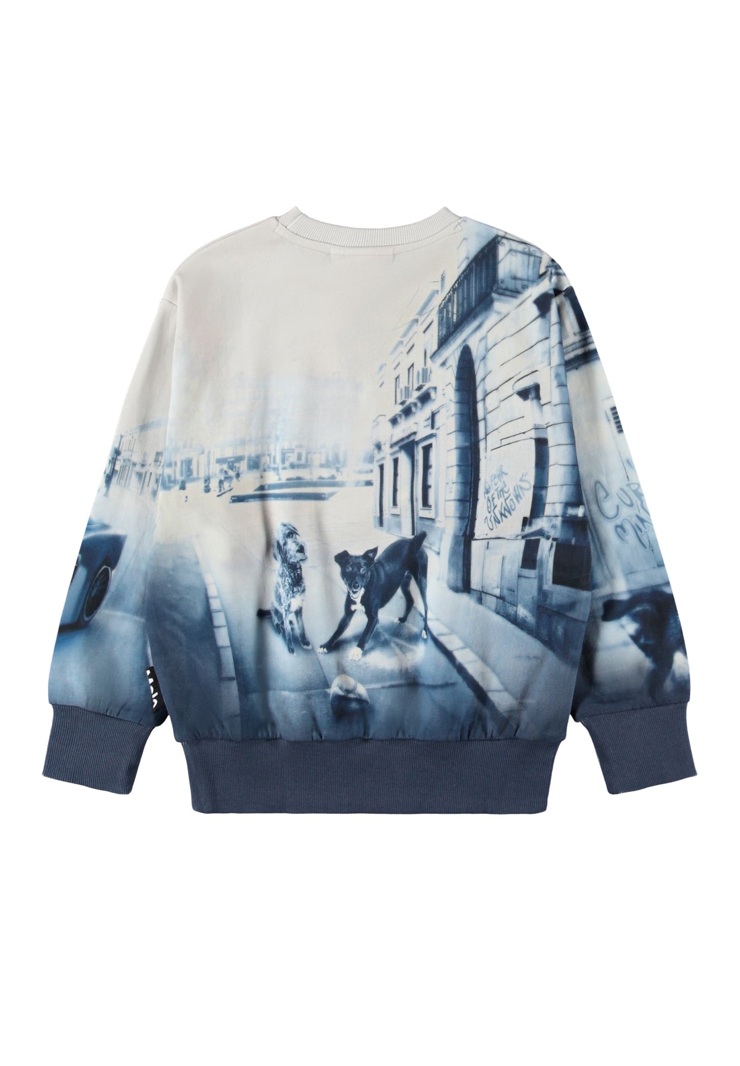 Molo Mattis Sweatshirt - Curio City