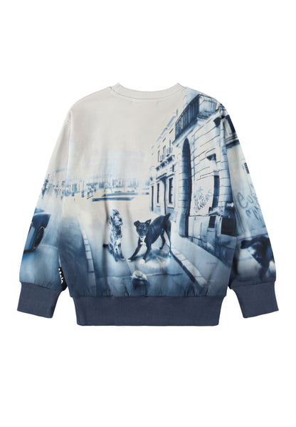 Molo Mattis Sweatshirt - Curio City