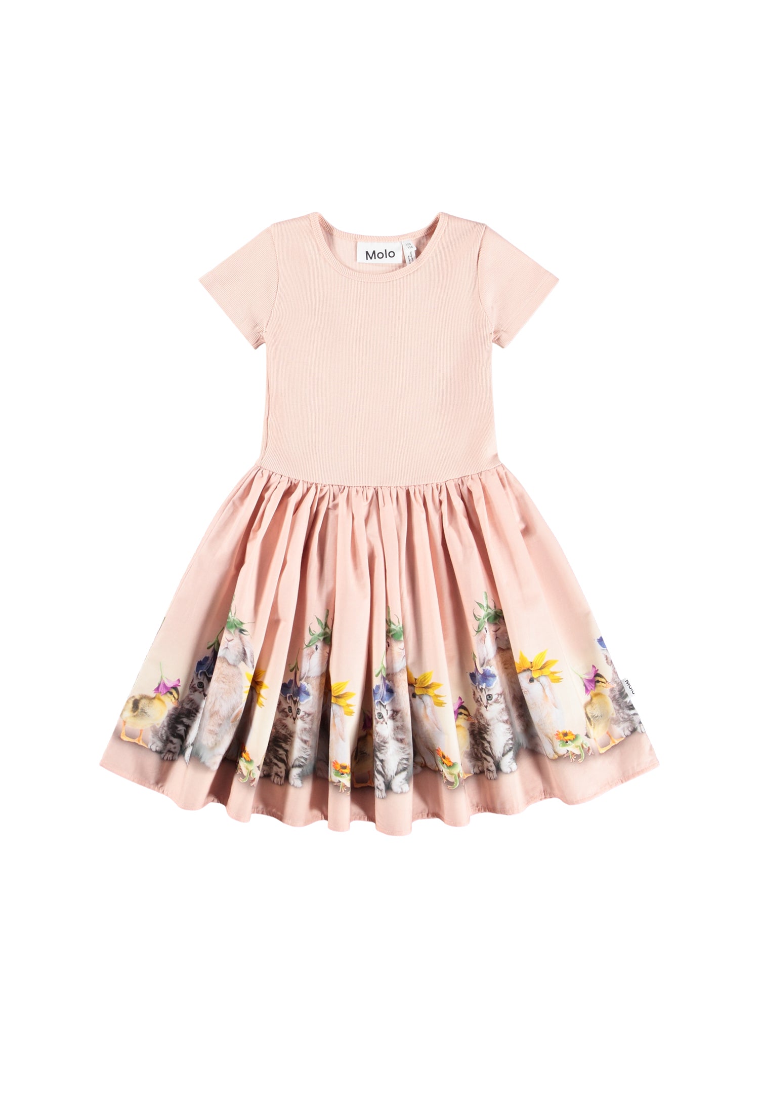 Molo Cissa  Dress - Photobooth