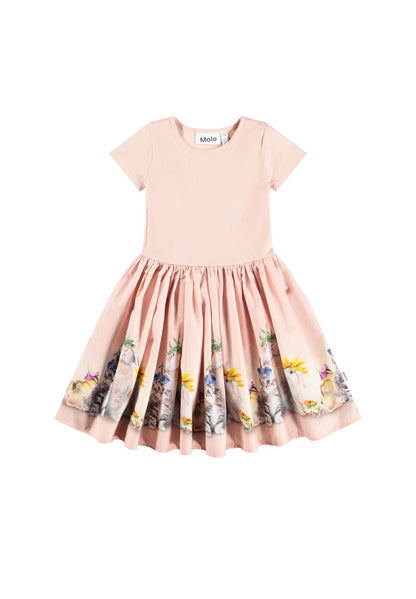 Molo Cissa  Dress - Photobooth