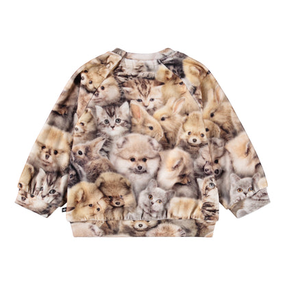 Molo Disc Sweatshirt - Fuzzy Fluffy