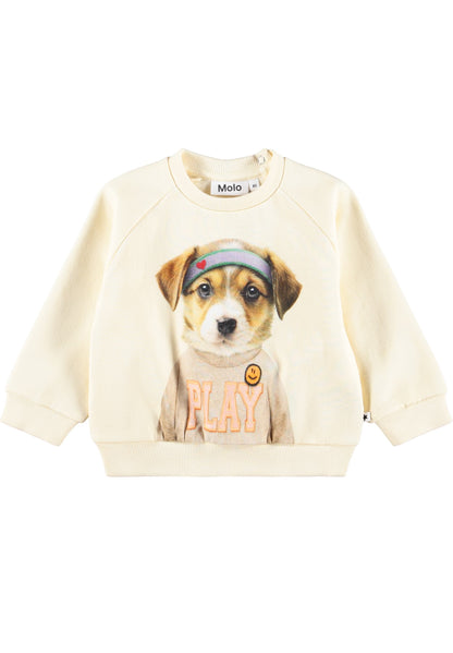 Molo Disc Sweatshirt - Game Pup
