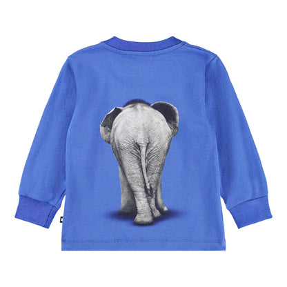 Molo Eloy Baby T-Shirt - Baby Elephant