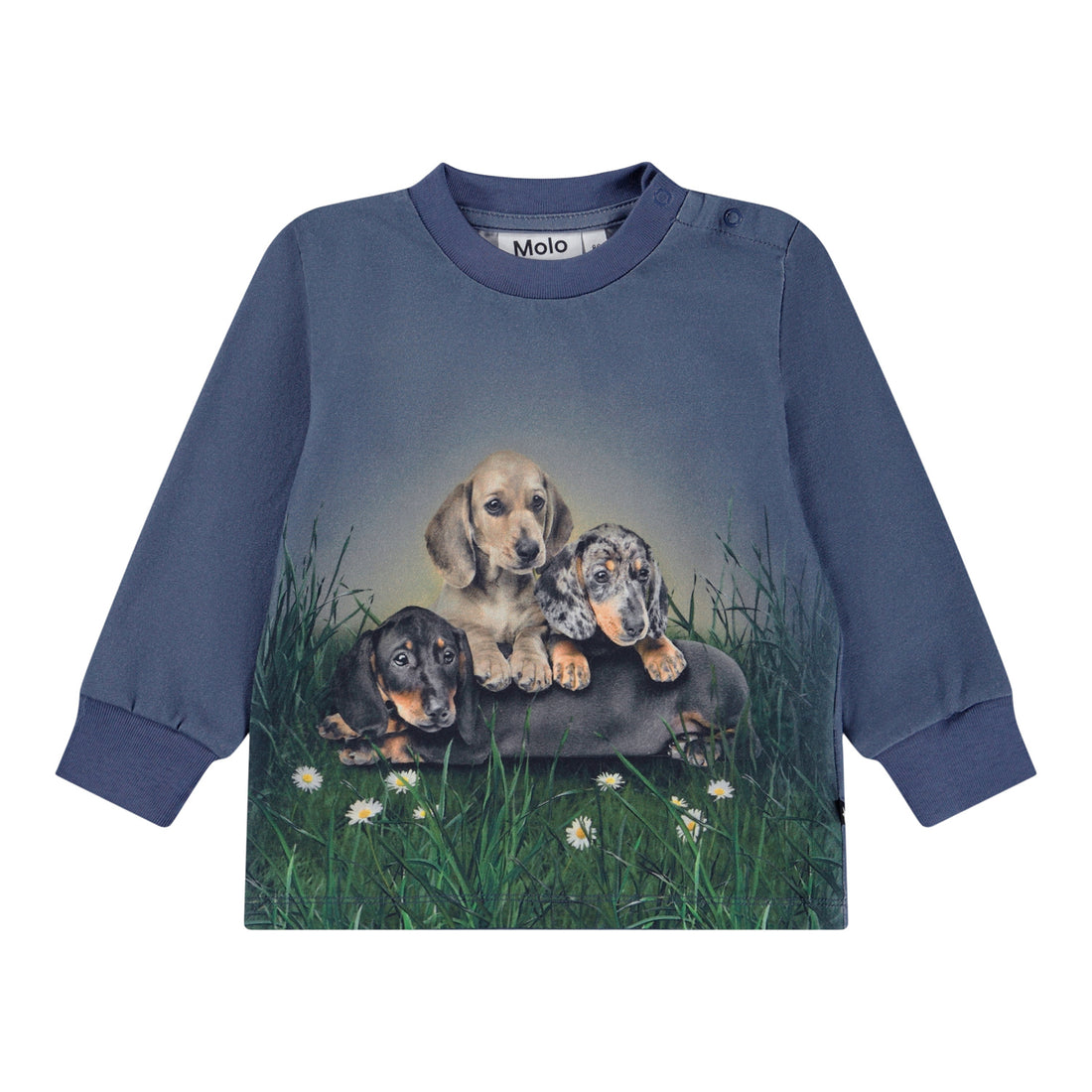 Molo Eloy Long Sleeve T-shirt - Dachshund Cubs