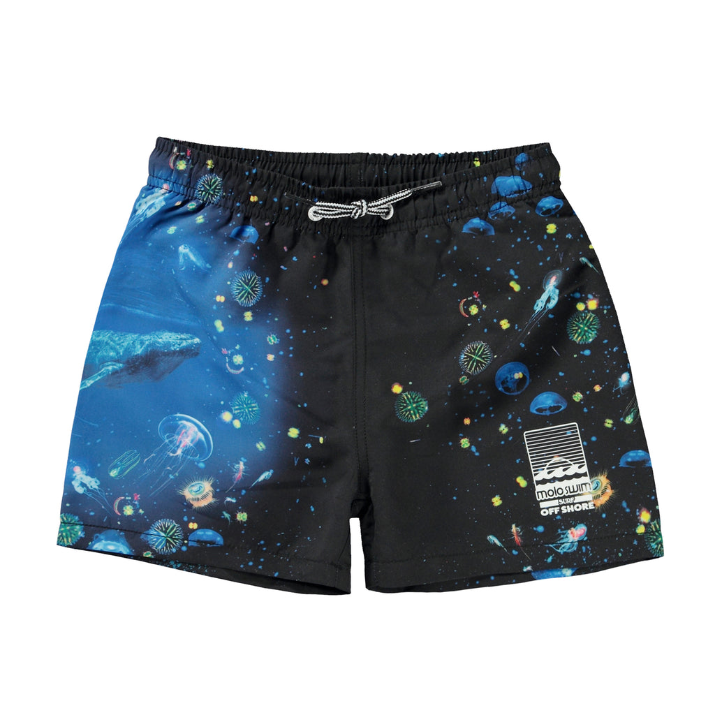 Molo Niko Swim Shorts - Plankton