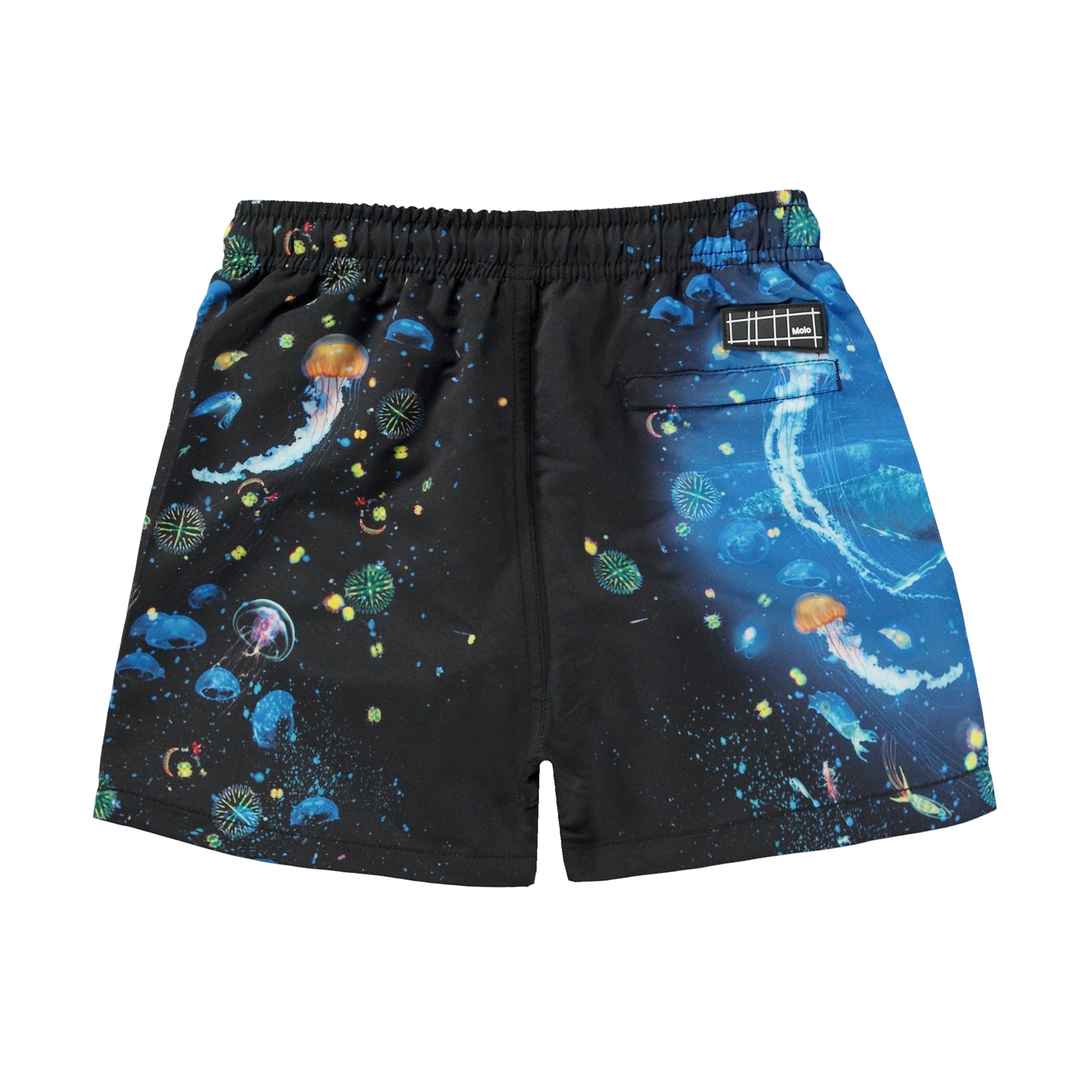 Molo Niko Swim Shorts - Plankton