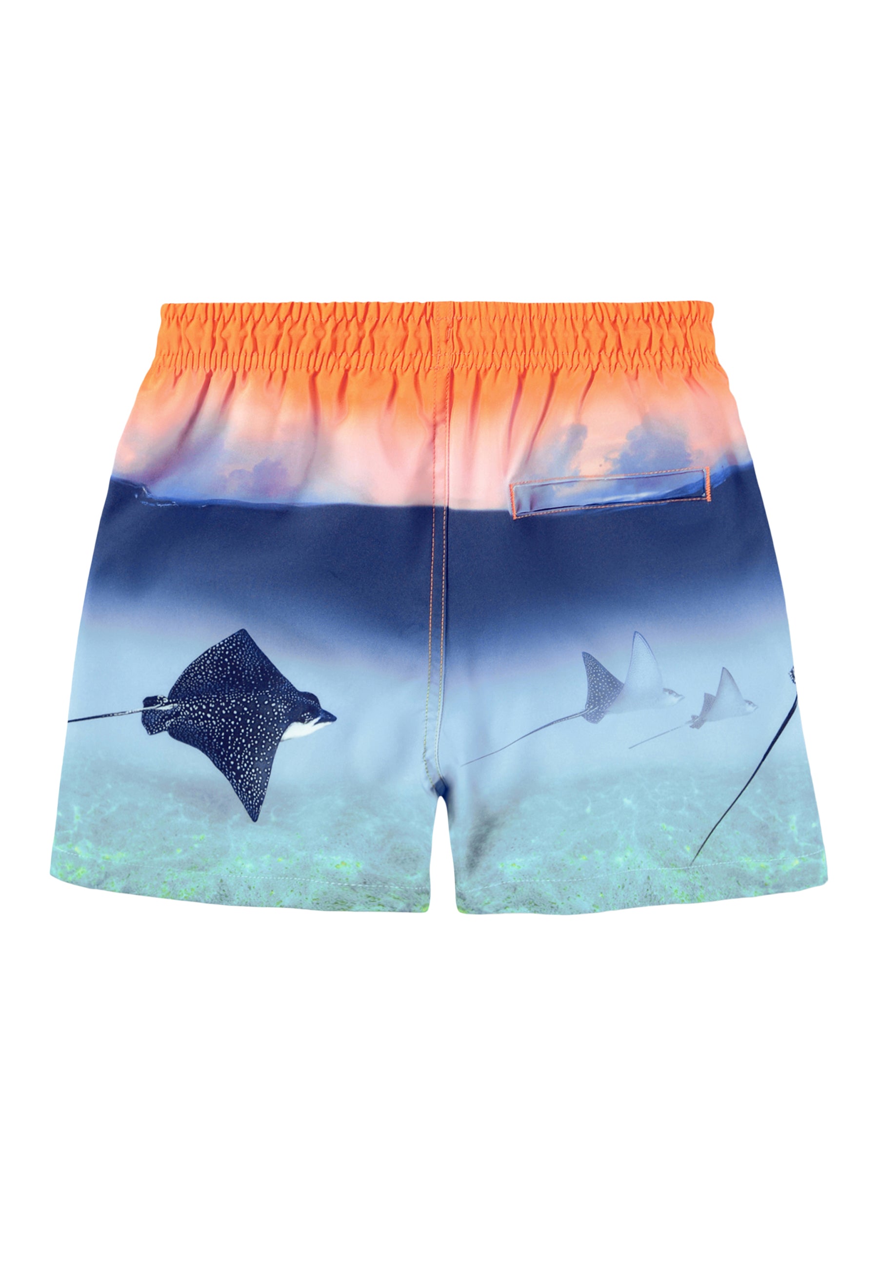 Molo Niko Swim Short - Into The Sunset