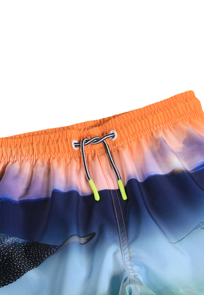 Molo Niko Swim Short - Into The Sunset