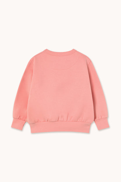 Tiny Cottons Worms Graphic Sweatshirt - Pink